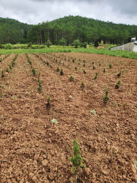 Bán duy nhất lô 1 sào giá rẻ tại Lạc...