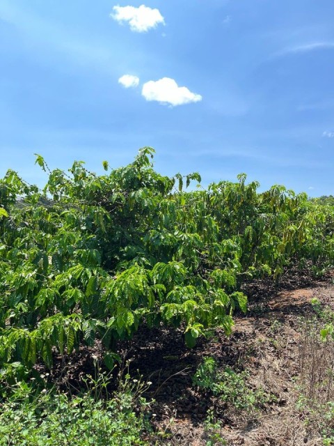 Chính chủ cần bán nhà và đất 2...