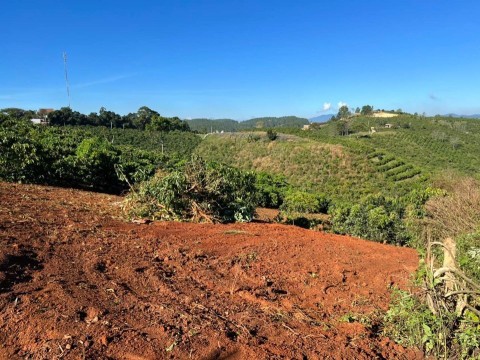 Bán đất mặt tiền ngã ba đường...