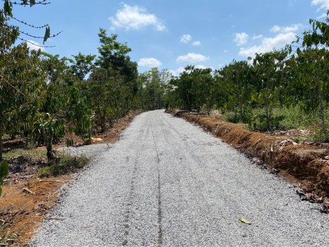 Cần bán đất vườn tại thôn 4 Tân lạc Bảo...