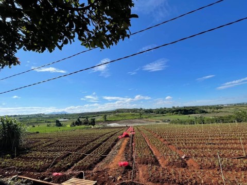 Bán Lô 4,1 sào xã Nthol Hạ Đức Trọng,...