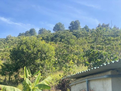 BÁN ĐẤT ĐẸP - Vị Trí Đẹp Tại Thôn 9,Xã...