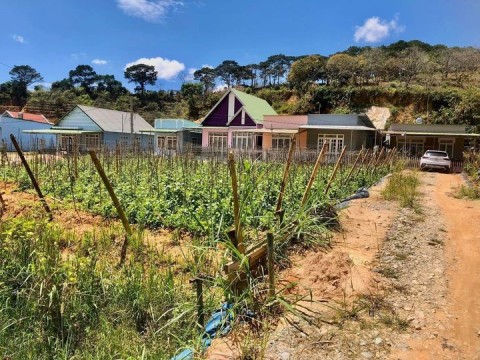 cần bán lô đất thổ cư, đất ở tại đô thị,...