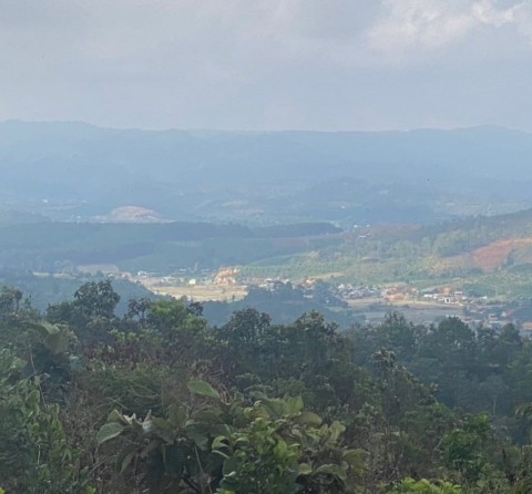 Ở ĐÂY EM CÓ BÁN ĐẤT RẺ NÈ CHỈ 800 TRIỆU...