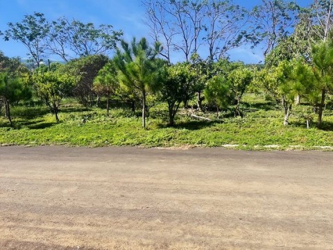 Đất đẹp view rừng thông, đường số 17, xã...