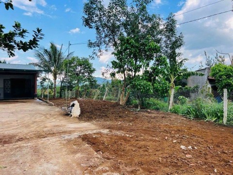 Bán 1 sào nhà vườn xã Lộc Đức giá siêu...