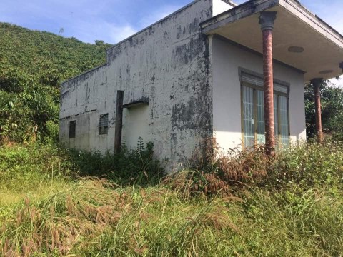 Bán 11ha đất tại thôn 6 Tân Thanh Lâm Hà...