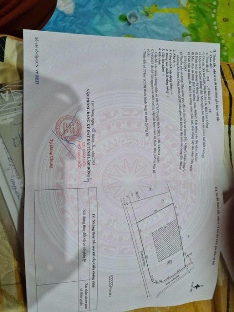 dat-me-linh-45m-mat-tien