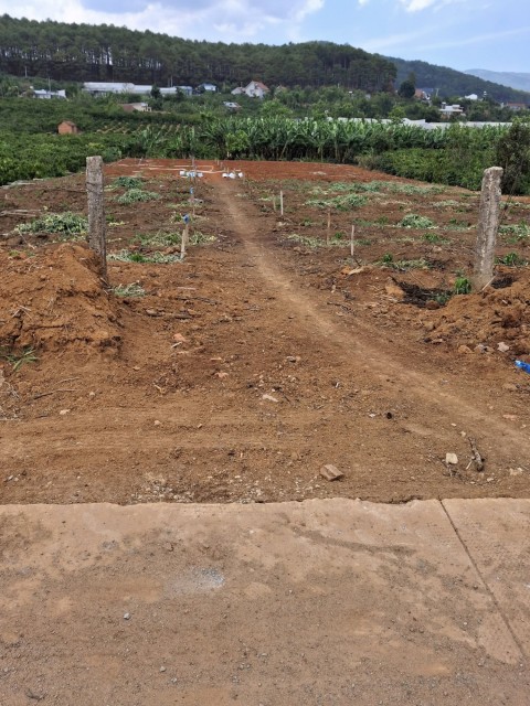 Đất bãi công Nam Ban 7200m2 view toàn bộ...