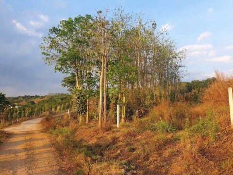 Đất đẹp cách nhựa 200m giá 800 triệu gần...