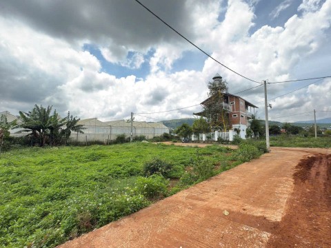 Mảnh đất Tà Nung chủ ngộp bán giá rẻ...