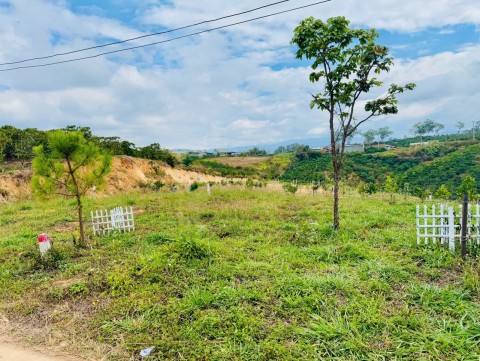 Mảnh đất nằm cạnh đường nhựa, view đồi...