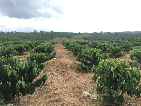 Cần bán 5 xào đất tại thôn 6 Tân Thanh...