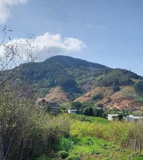 Đất Đông Thanh gần rừng thông cách nhựa...