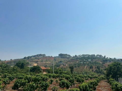 Đất đẹp ở ngay hồ Bãi Công giá rẻ 999...