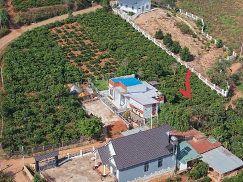 Đất đẹp ở Mê Linh gần hồ giá chỉ 790...