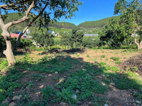 Mảnh đất đẹp view đồi thông, gần đường...