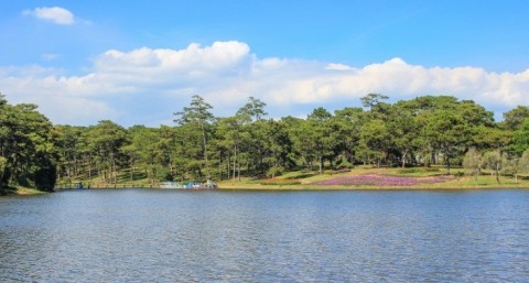 BÁN ĐẤT XÂY DỰNG SỔ RIÊNG TẠI PHƯỜNG...