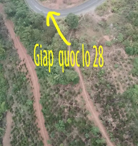 Chính chủ cần bán 4 ha đất vườn đẹp tại...