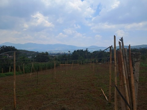 Đất đẹp rẻ ở khu Bãi Công cách Đà Lạt...