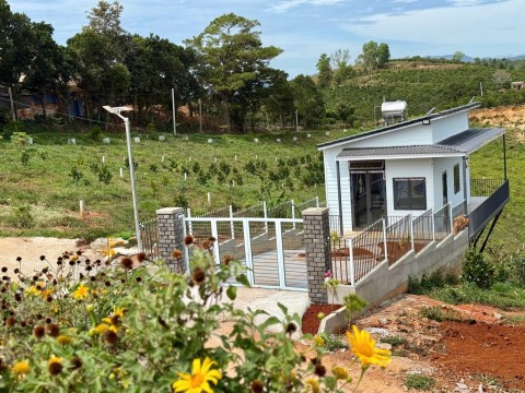 Mua đất tặng nhà cạnh đường nhựa DH93...