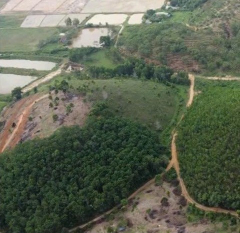 Chính chủ Bán mảnh vườn trồng cây ăn...