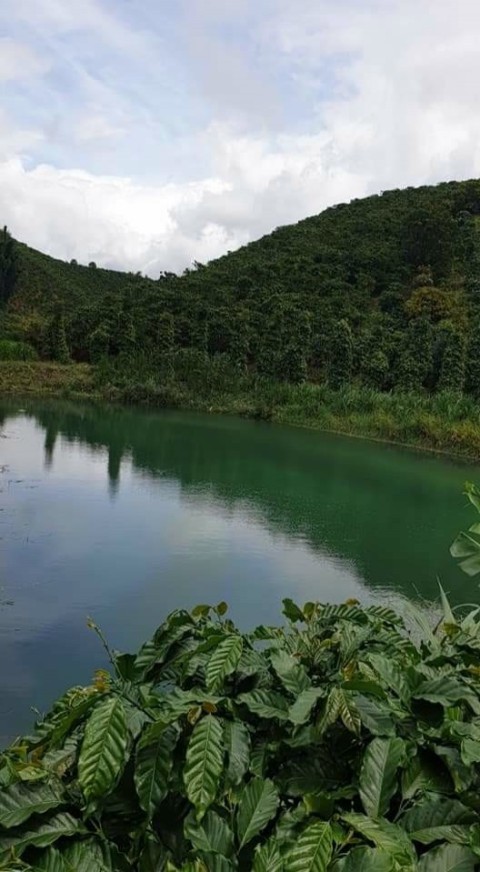 Bán 3,4ha đất xã Phi Tô chỉ 155...