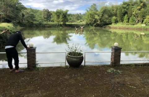 BÁN 4 HECTA ĐẤT ĐƯỜNG MẠC ĐỈNH CHI,...