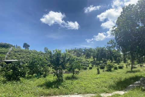 BÁN 5,2 SÀO (100M2 THỔ CƯ) Ở THÔN 8 ĐẠI...