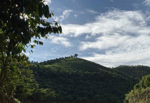 BÁN 5500M2 ĐẤT TẠI THÔN 11, XÃ ĐẠI LÀO,...