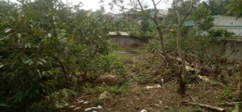 TỔNG QUAN BÁN 914 M2 PHƯỜNG 1 BẢO LỘC NỞ...