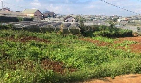 BÁN ĐẤT ĐƯỜNG TRỊNH HOÀI ĐỨC, PHƯỜNG 11,...