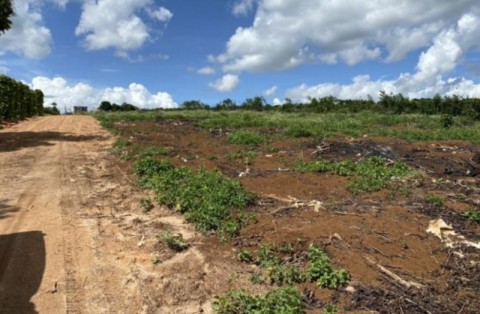 Cần bán lô đất 9000m2 đất tại xã Phúc...