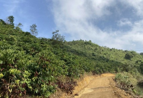 BÁN ĐẤT NGHỈ DƯỠNG NHÀ VƯỜN GIÁ RẺ TẠI...