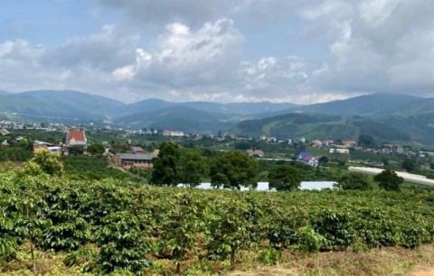 Đất Đà Lạt Mở Rộng Xã Đông Thanh 140...