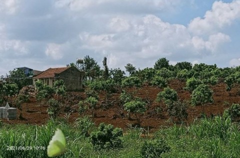 BÁN ĐẤT VIEW HỒ PHÚC THỌ GIÁ 1 TỶ 900...