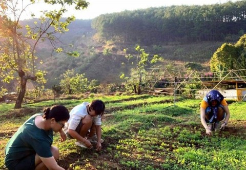 BÁN GẤP 2 LÔ ĐẤT. SỔ RIÊNG 2 LÔ MỐI LÔ...