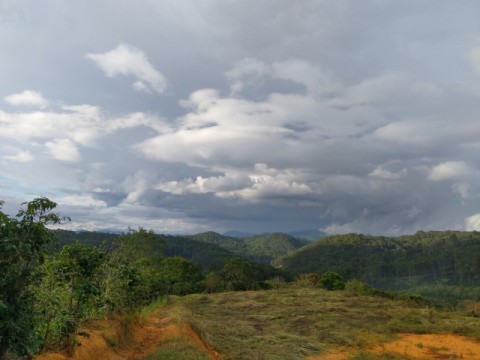 BÁN LÔ ĐẤT 1.311M2 VIEW HỒ XUÂN...