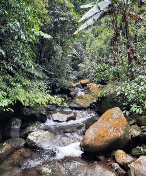 BÁN LÔ ĐẤT 14.000 M2 VIEW SUỐI GIÁ RẺ...