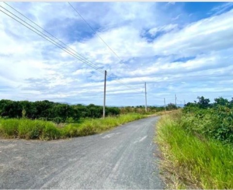 BÁN LÔ ĐẤT 470M2 GẦN CHỢ TÂN VĂN, LÂM HÀ...