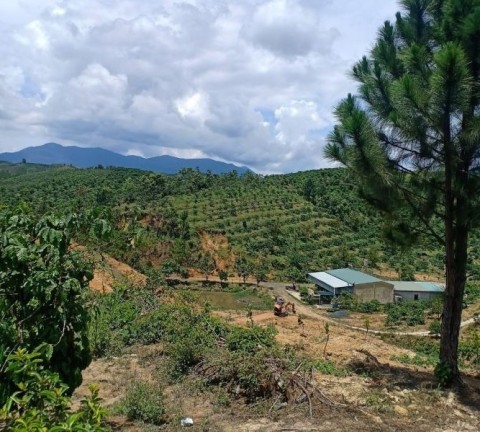 BÁN LÔ ĐẤT ĐẸP NHẤT PHƯỜNG 2, THÍCH HỢP...