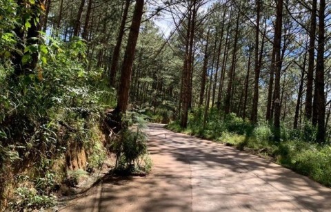 BÁN LÔ ĐẤT ĐƯỜNG HÙNG VƯƠNG 1HECTA VIEW...