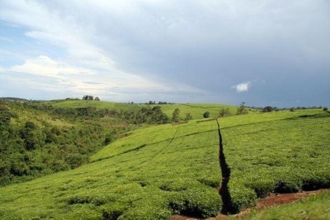 BÁN NGAY LÔ ĐẤT 2 MẶT TIỀN TẠI ĐINH VĂN...