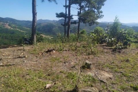 BÁN NHANH ĐẤT ĐẸP “GIÁ CỰC SỐC” TẠI...