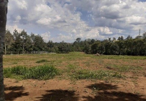 CẦN BÁN ĐẤT LỘC NGA ĐƯỜNG NGUYỄN HUY...