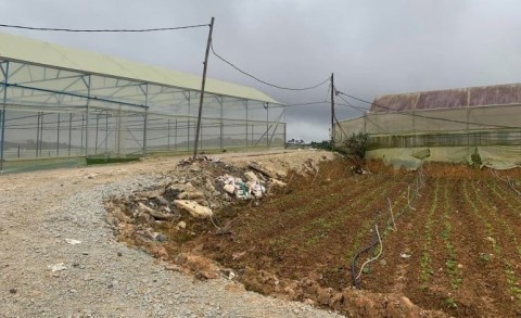 CẦN BÁN LÔ ĐẤT NÔNG NGHIỆP GIÁ ĐẦU TƯ...