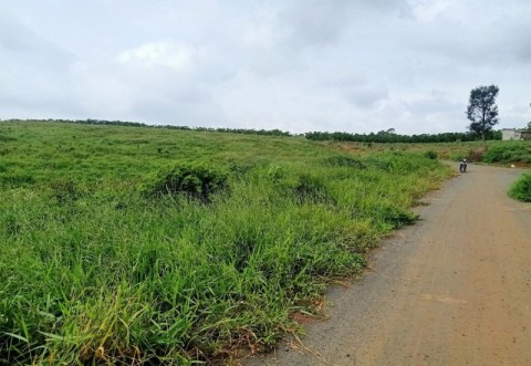 CẦN TIỀN RA ĐI NHANH 1,5HA ĐẤT VƯỜN ĐOÀN...