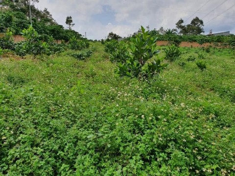 CẦN TIỀN THANH TOÁN CHO NGÂN HÀNG CUỐI...