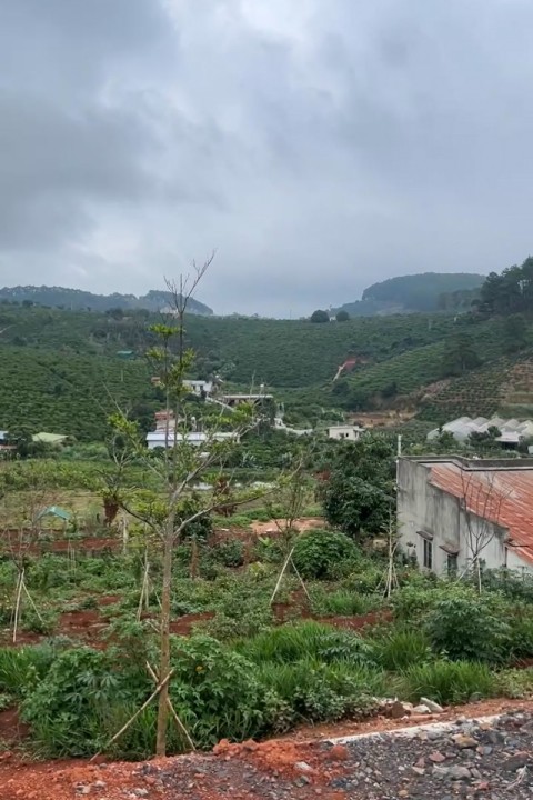 Mảnh đất Mê Linh 2 mặt tiền, nở hậu đẹp...