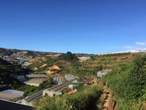 CHÍNH CHỦ BÁN - CHỐT NGAY LÔ ĐẤT 1300 M2...